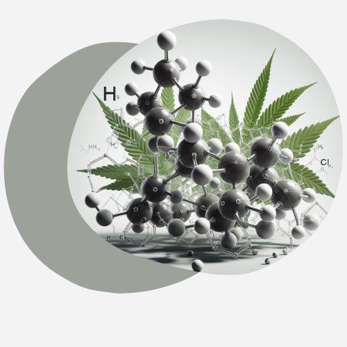 THC-PO Une molécule Légale et Stupéfiante !