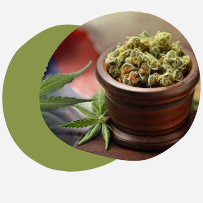 Cannabis Thérapeutique Légal en France - CBDtech.fr