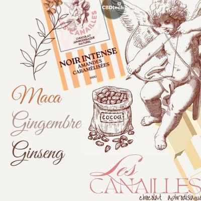 Chocolat Aphrodisiaque Noir Les Canailles - Amandes Caramélisées 🍫 🥜