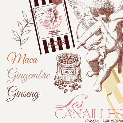 Chocolat Aphrodisiaque Noir Les Canailles - Libido des Papilles 🍫