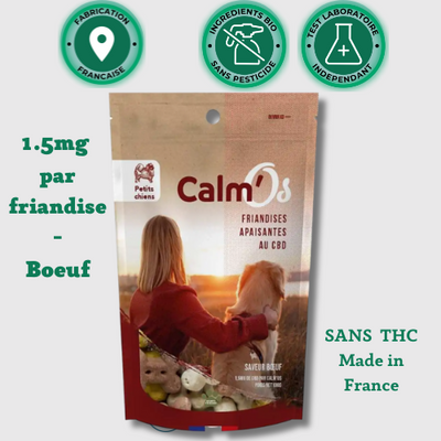 biscuit Huile cannabidiol pour Chiot