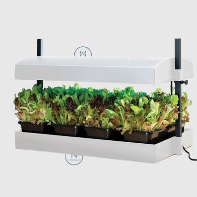 jardin interieur blanc led