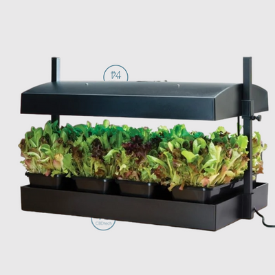 jardin indoor noir led
