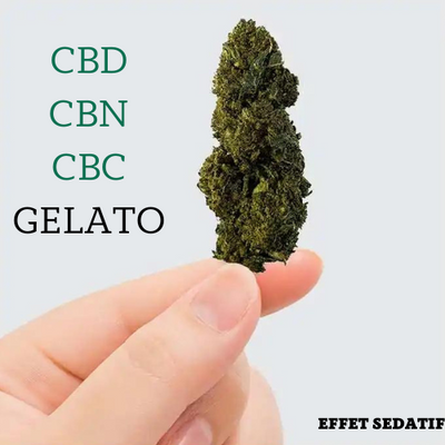 CBD Flower | CBN | CBC - Gelato - Italien 🌱