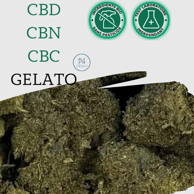 CBD Flower | CBN | CBC - Gelato - Italien 🌱