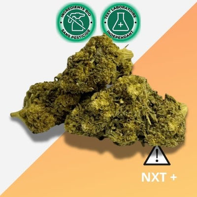 CBD Flower Cryo Glasshouse NXT+ 🔴 3gr | Greeneo