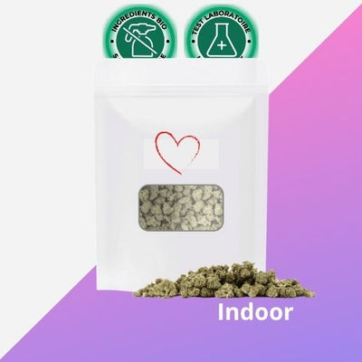 Fanta Small Bud CBD aux Arômes Agrumes | Indoor