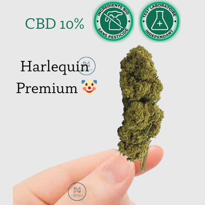 CBD Fleur Harlequin Premium