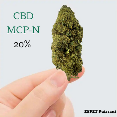 Premium MCP -n Flower - Lille pris 🌱