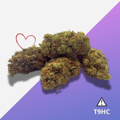 Fleurs T9HC Northern Lights