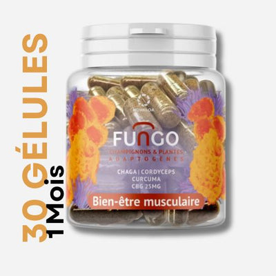 CBG + Chaga -Kapseln | Cordyceps | Kurkuma (Schmerz)