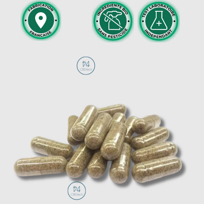 gelules champignons adaptogene