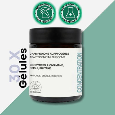 Adaptogene Pilze | Kapseln | Konzentration