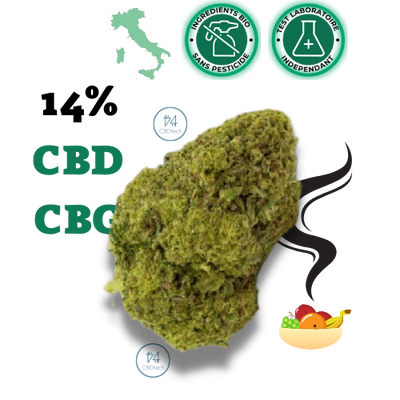 fleurs cbd puissante 14% gorilla