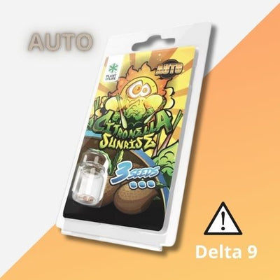 Graines Autofloraison THC de Collection | Citronella Sunrise Auto 3 Semences
