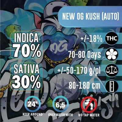 Collection Thc Self -Flowering Seeds | OG KUSH AUTO 3 Semences