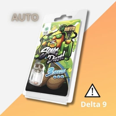 Collection Thc Self -Flowering Seeds | Sour Diesel Auto 3 Semences