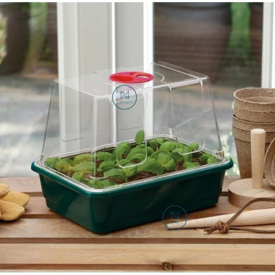 Propagateur de Semis
