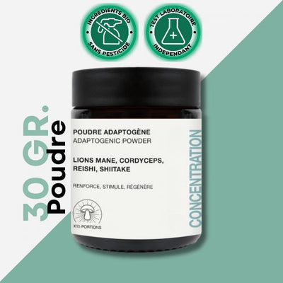 Adaptogene Pilze | Pulver | Konzentration