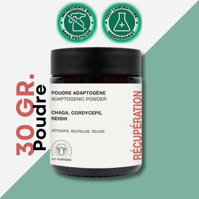 Adaptogene Pilze | Pulver | Erholung