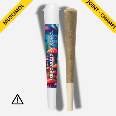 Pre-Roll Muscimol Pilzgelenk | Trippy Leckereien