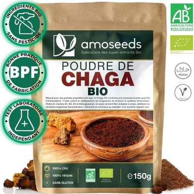 Chaga Poudre Bio ( Inonotus obliquus )