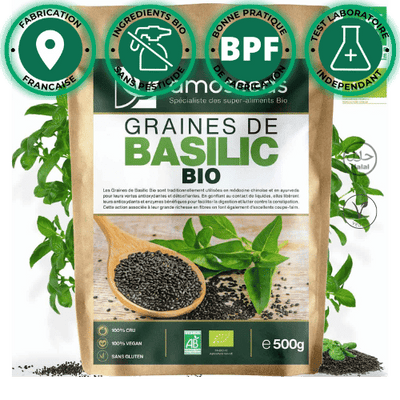 graines basilic