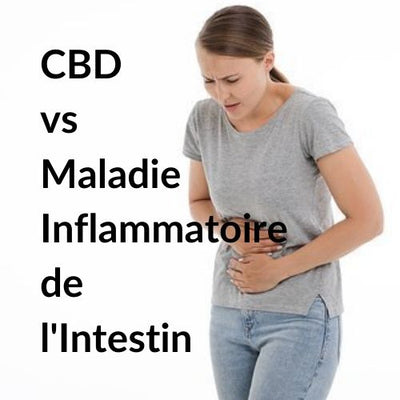 COVID-19 cbd vs maladie inflammatoire de l'intestin