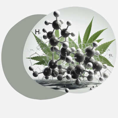 thcpo molecule cannabis psychoactif