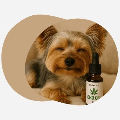 CBD pour les animaux CBD pour les animaux