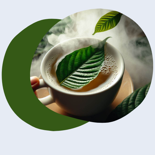 The Beginner's Guide to Kratom: What You Need to Know