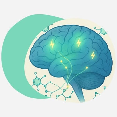 Système sérotoninergique du cerveau et molécule du bonheur