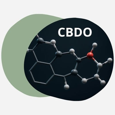 CBDO (cannabidiorcol) en rendu 3D réaliste, flottant dans l’espace, avec sa courte chaîne latérale clairement mise en avant. Atomes colorés par élément : carbone gris, oxygène rouge, hydrogène blanc.