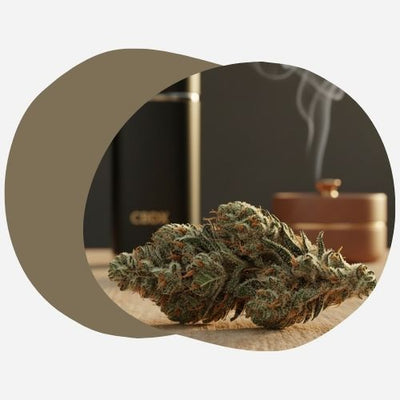 Gros plan sur une fleur de CBDX Tropical Haze parfaitement conservée, avec ses trichomes cristallins scintillants sous un éclairage doux. La fleur est posée sur un fond en bois naturel, avec une légère fumée aromatique