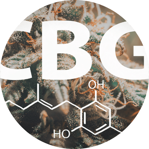 THE DIFFERENCE BETWEEN CBG AND CBD