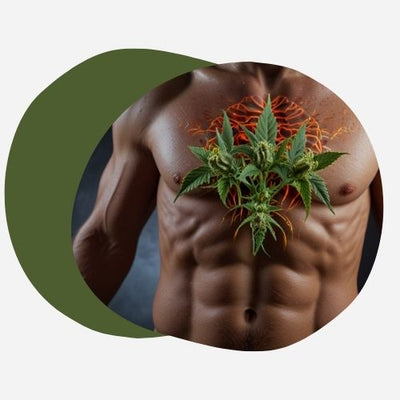 Comment éliminer le THC
