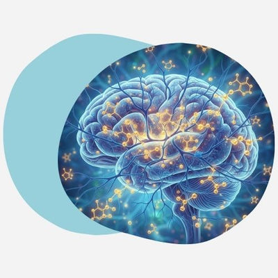 Abstract scientific illustration showing neural connections regenerating in a brain, with psychedelic
