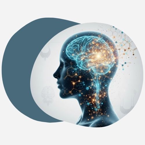 Comment Vos Hormones Contrôlent Votre Esprit : Impacts sur la Santé Mentale