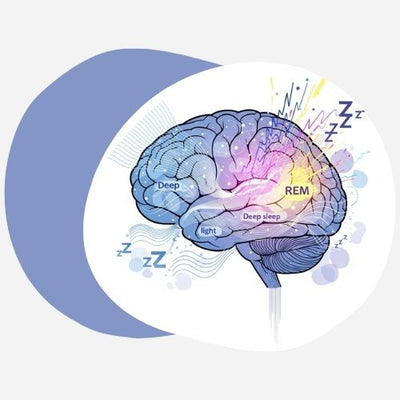  Illustration d'un cerveau avec des motifs de sommeil