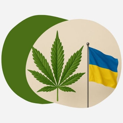 L'Ukraine légalise le cannabis médical : une avancée majeure pour la thérapie