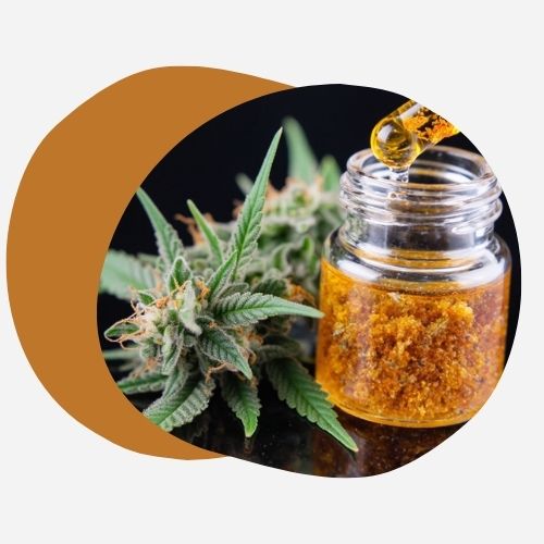 Tout savoir sur la Live Resin