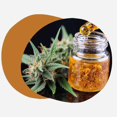 Live Resin - Concentré de cannabis frais