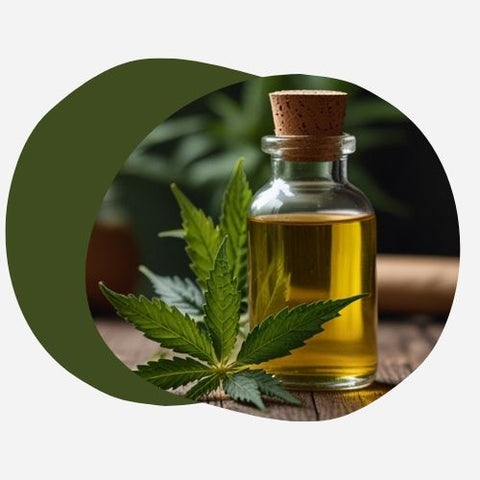 🌿 Aceites CBD de espectro completo