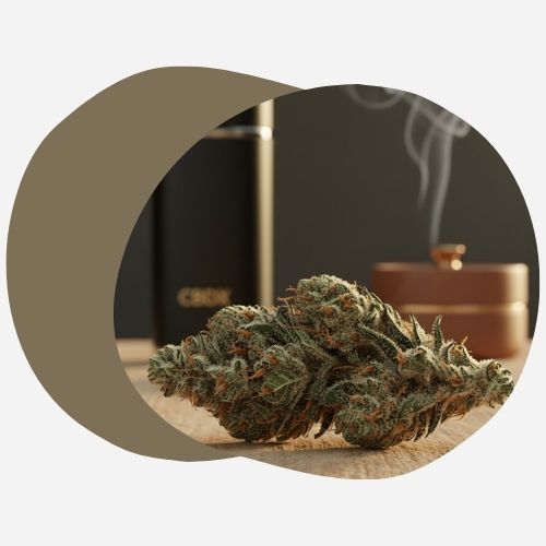 CBDX | Xtrem CBD