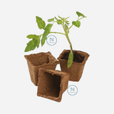 20 pots carrés biodégradables en fibre de 6 cm culture indoor