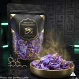 blue Lotus flower petals (Nymphaea caerulea) - thcx