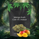 Fleurs Mango Kush Delta CSA 14 | Indoor