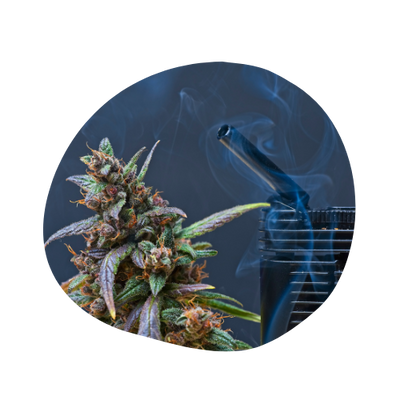 Vaporisateur de Cannabis : Pour vaporiser l'herbe - M2J