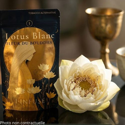 White Lotus (Fleurs et Résine) : Rêve Lucide