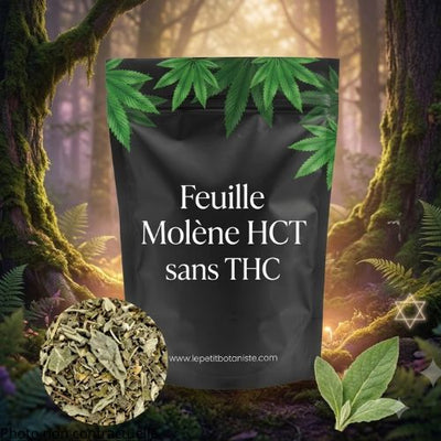 Feuille Molène HCT sans THC